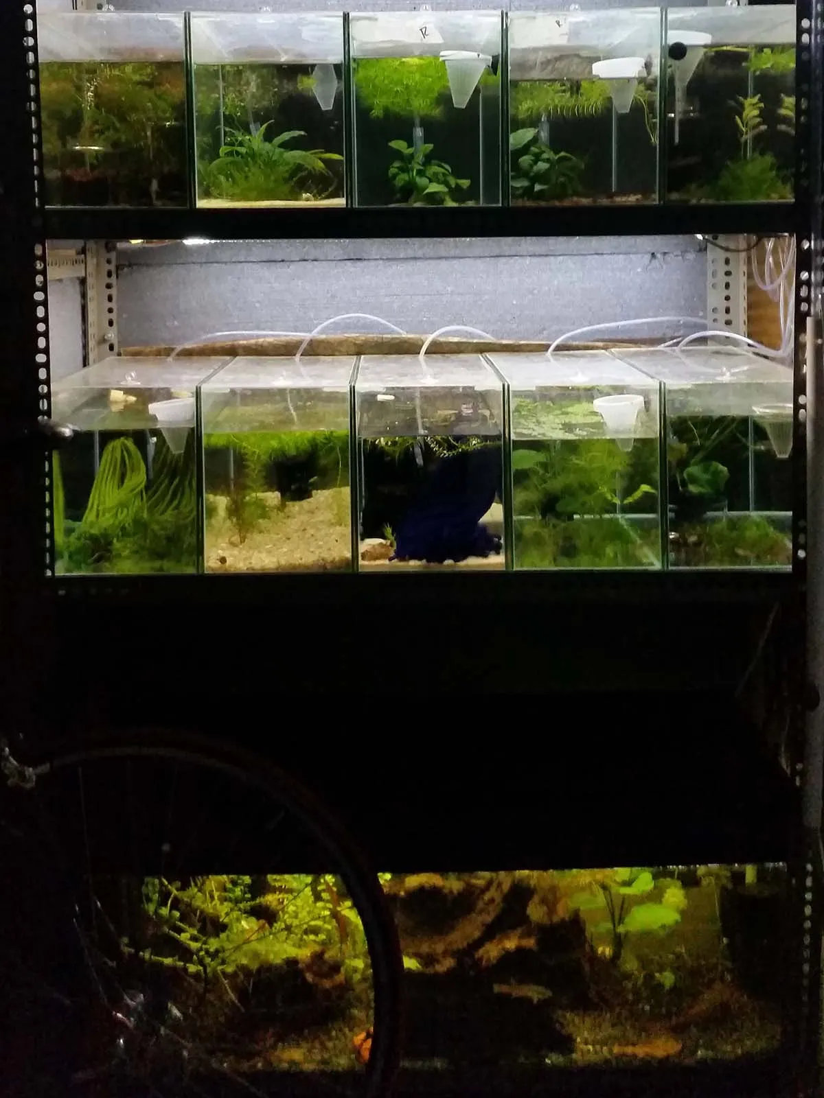 Immagine della storia di Medakando