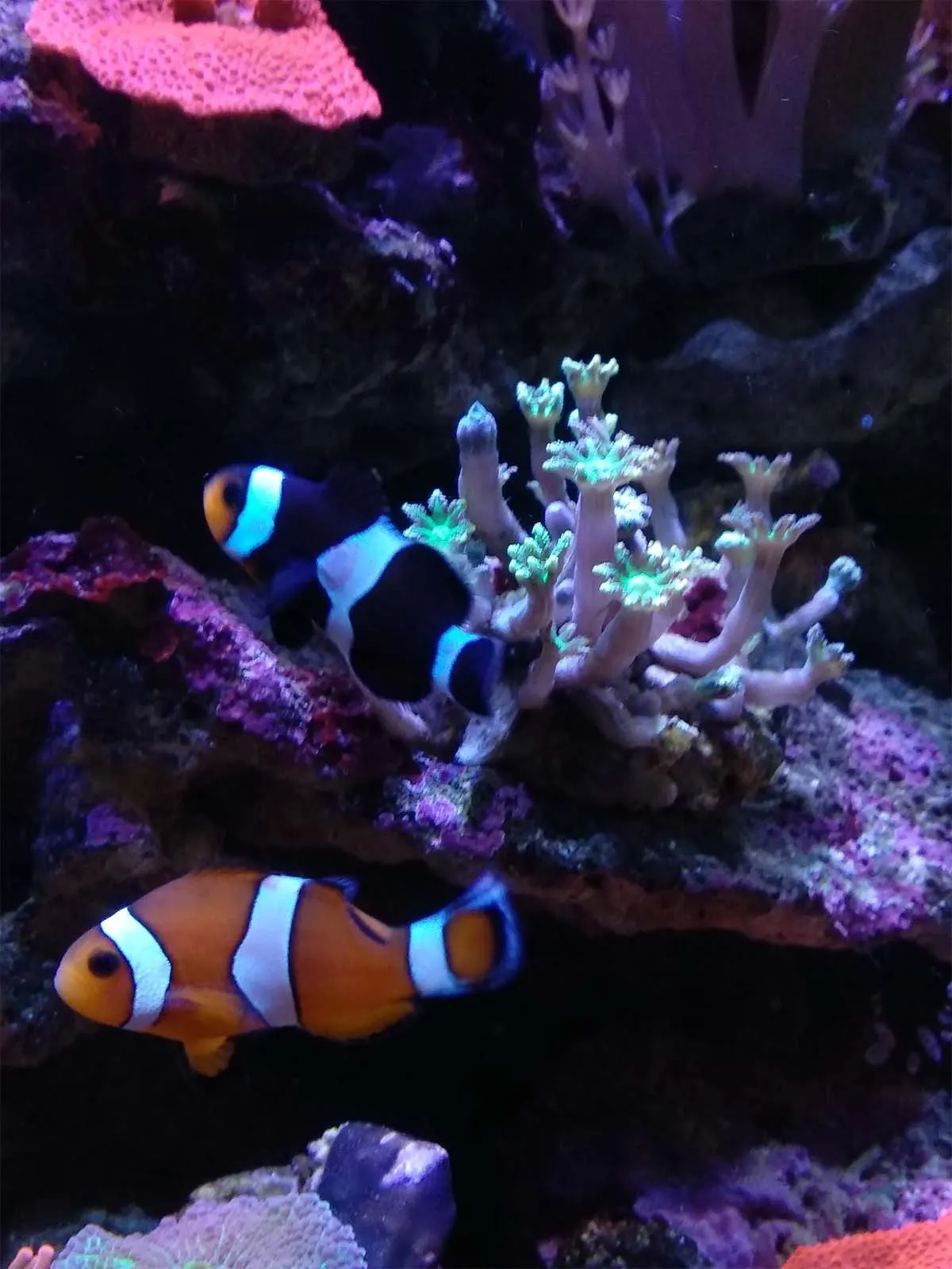 Immagine della storia di Medakando